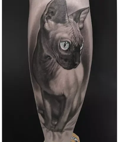 Tatuaż realistyczny przedstawiający kota sphinxa
